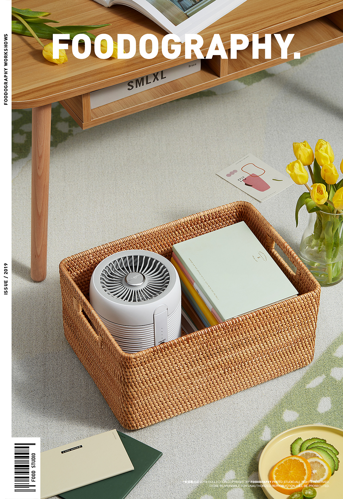 Donlim ，Photography of small household appliances，Fan，Product photography，industrial design，