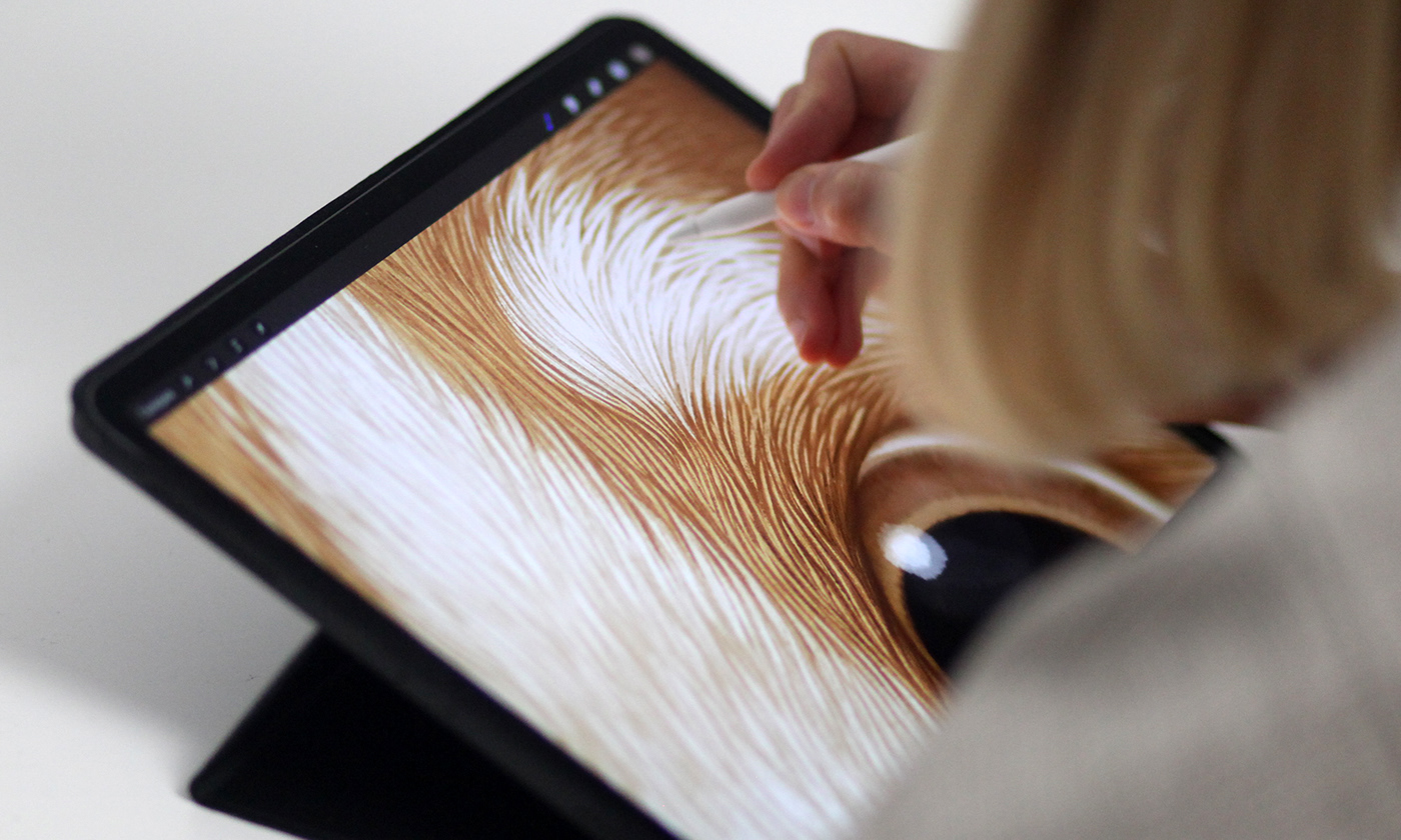 Hrum-Hrum，packing design，food，