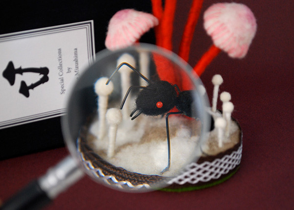 fungus，specimen，originality，Design，Mushroom，