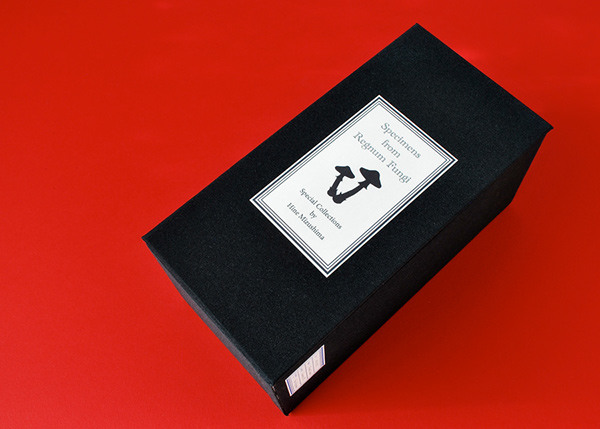 fungus，specimen，originality，Design，Mushroom，