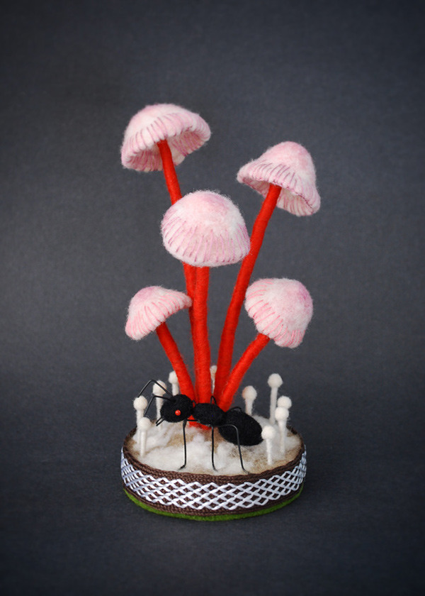 fungus，specimen，originality，Design，Mushroom，