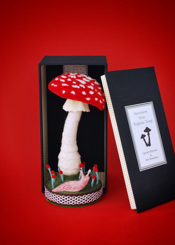 fungus，specimen，originality，Design，Mushroom，