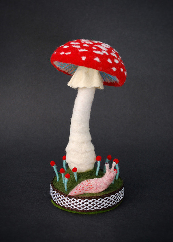 fungus，specimen，originality，Design，Mushroom，