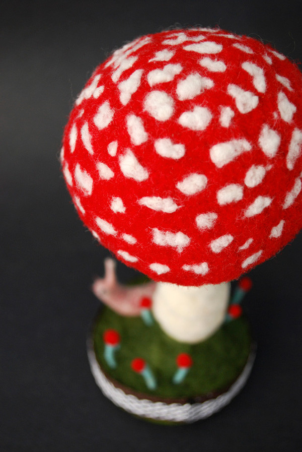fungus，specimen，originality，Design，Mushroom，