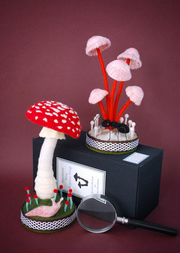 fungus，specimen，originality，Design，Mushroom，