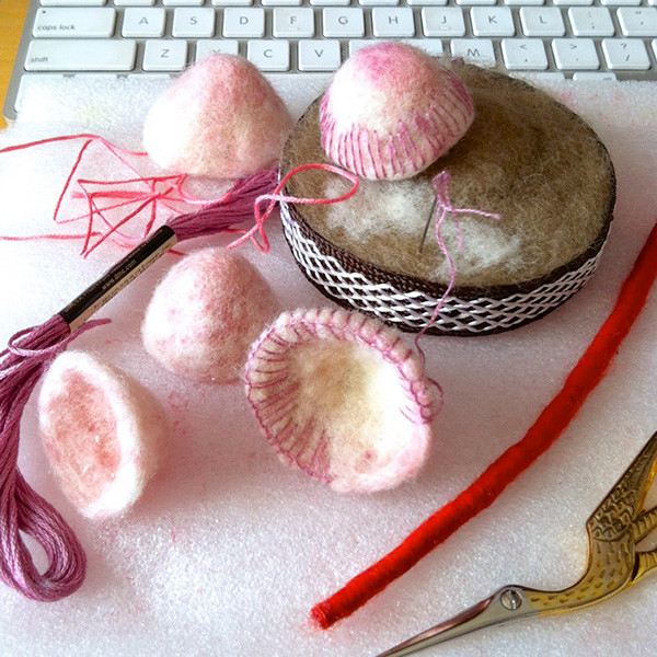 fungus，specimen，originality，Design，Mushroom，