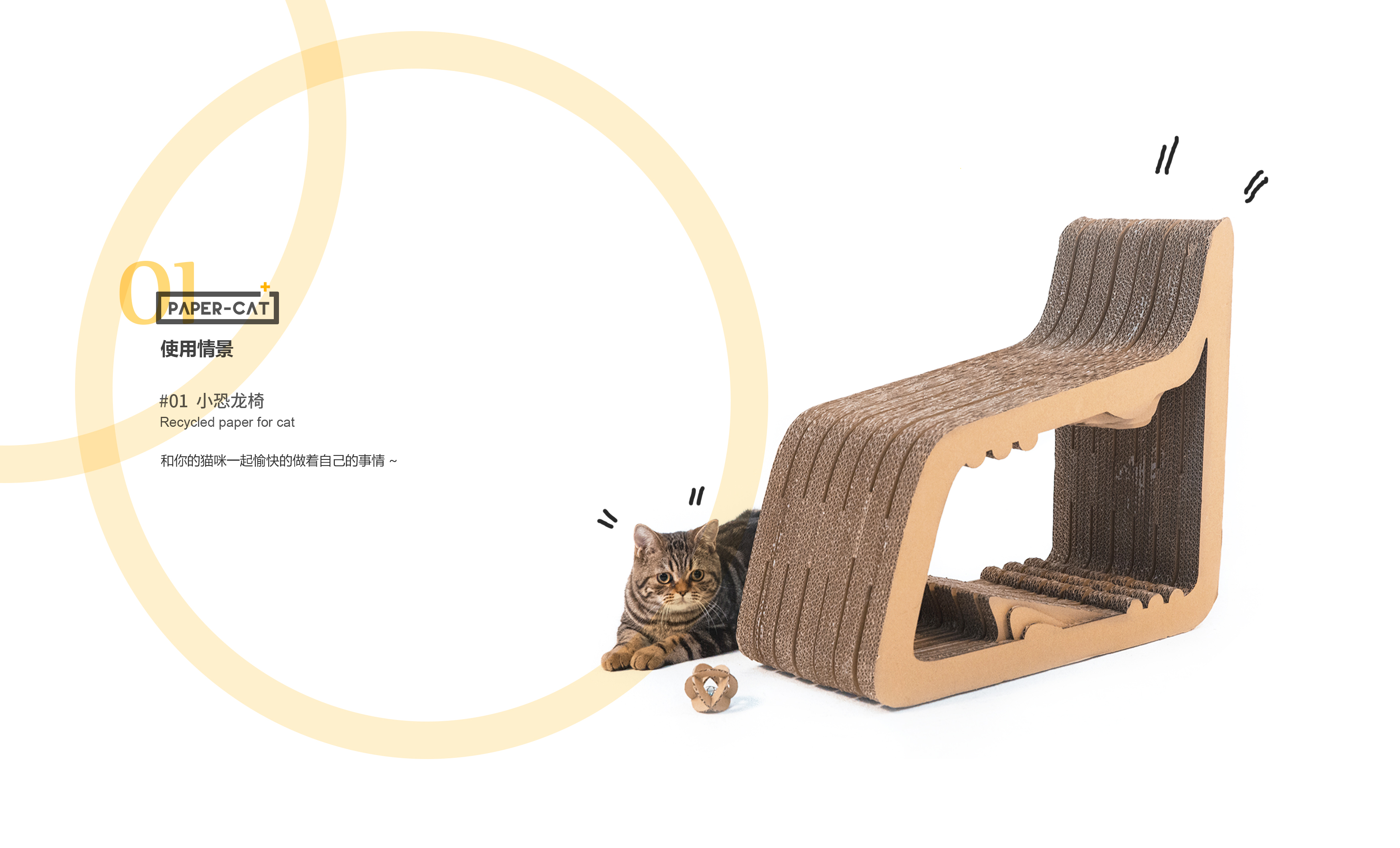 Graduation project，Pet Supplies & Pet，furniture，manual，student，