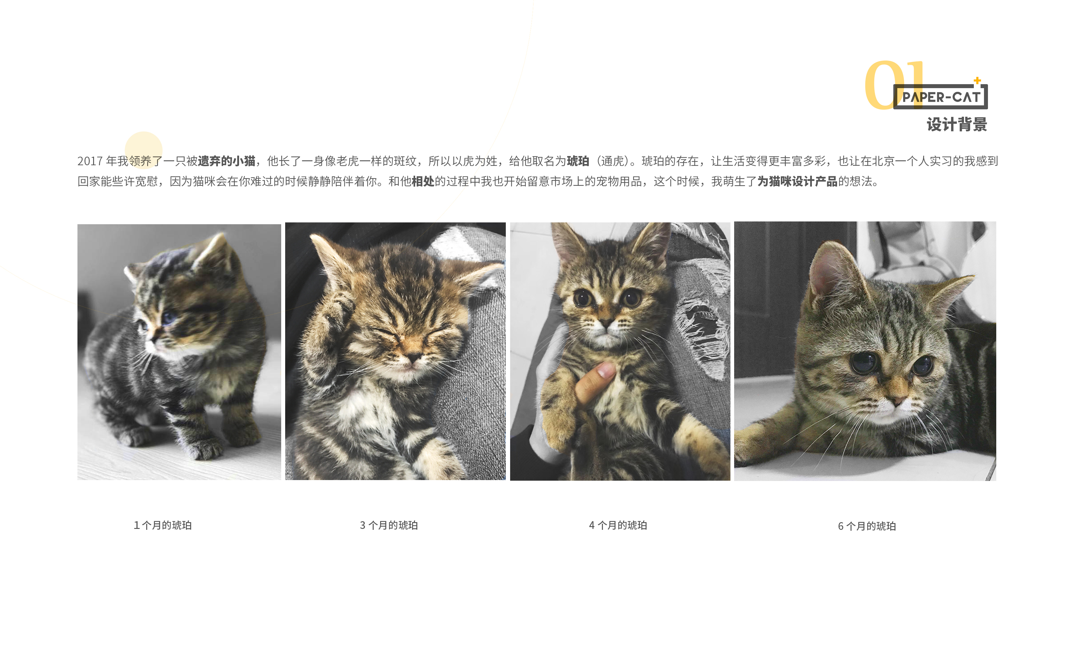 Graduation project，Pet Supplies & Pet，furniture，manual，student，