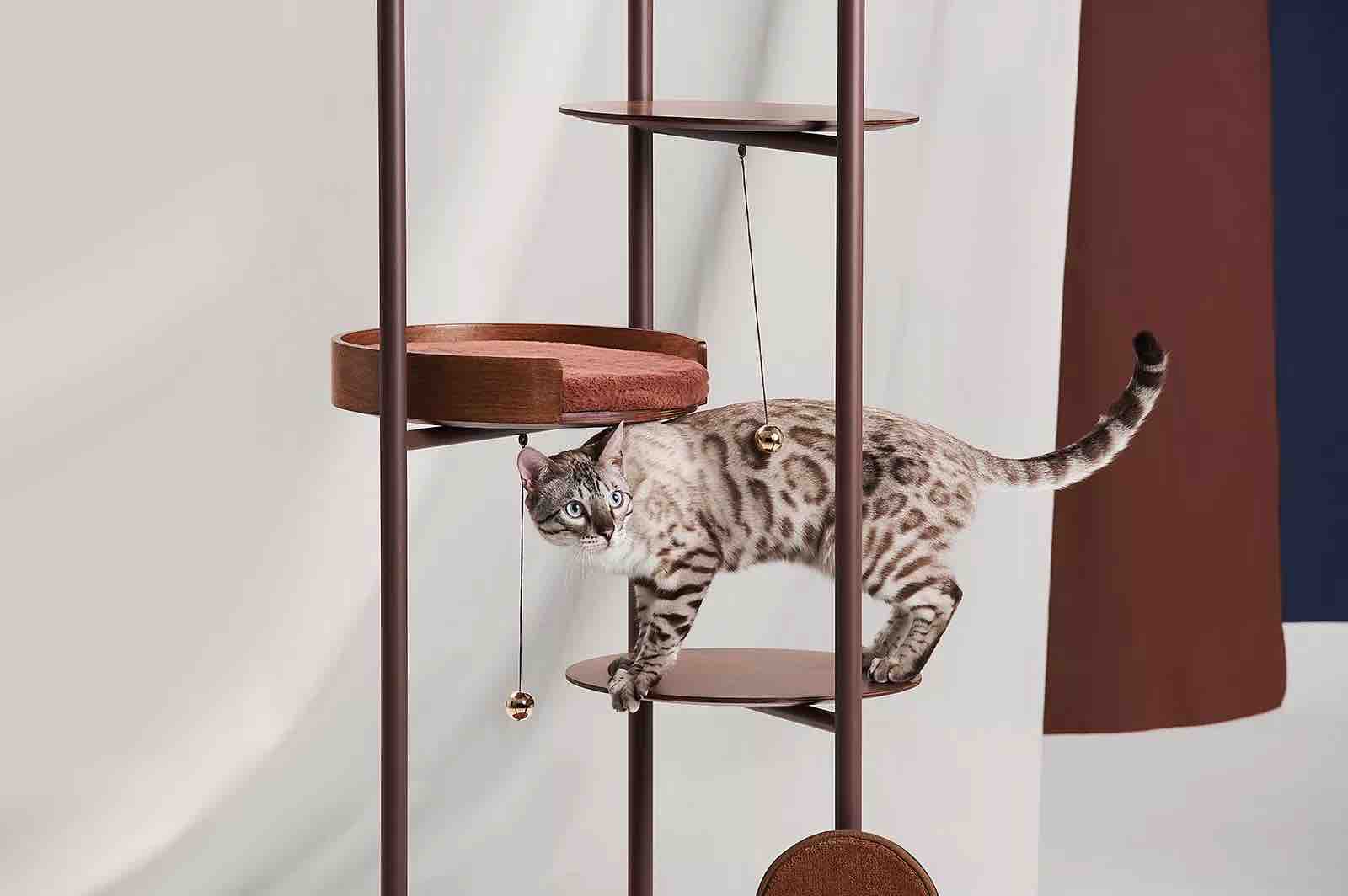 Cat climbing frame，