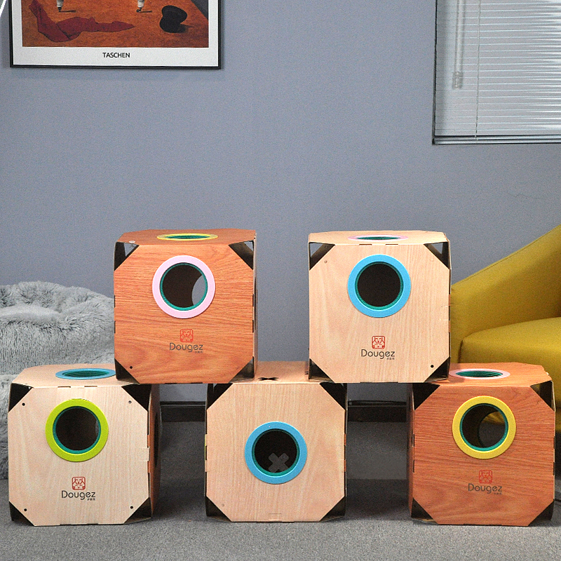 Cat circle，