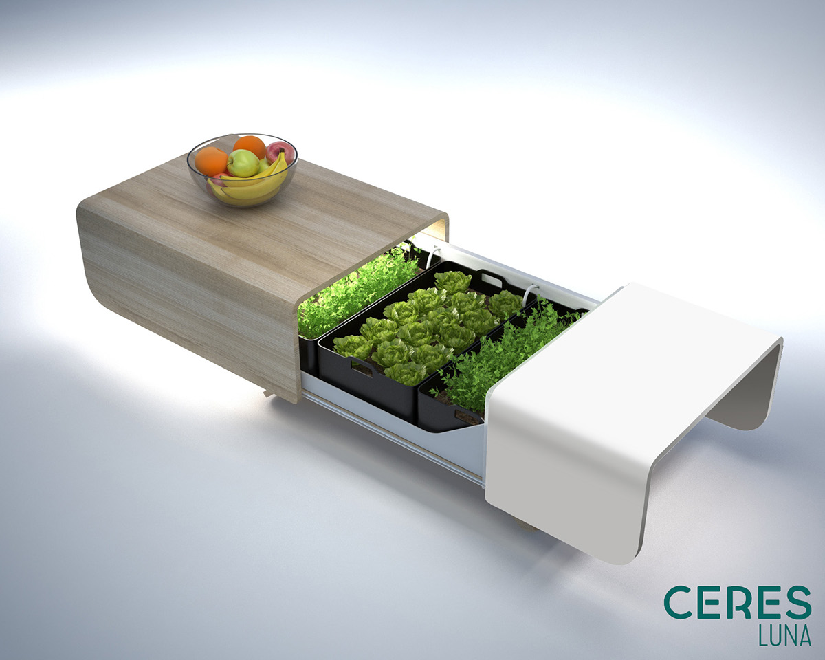 Botany，indoor，crops，green，