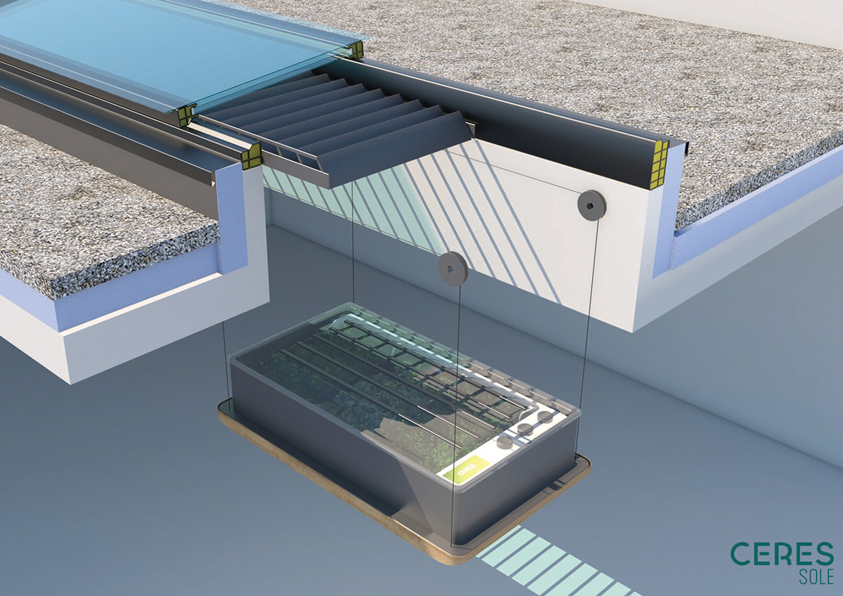 Botany，indoor，crops，green，