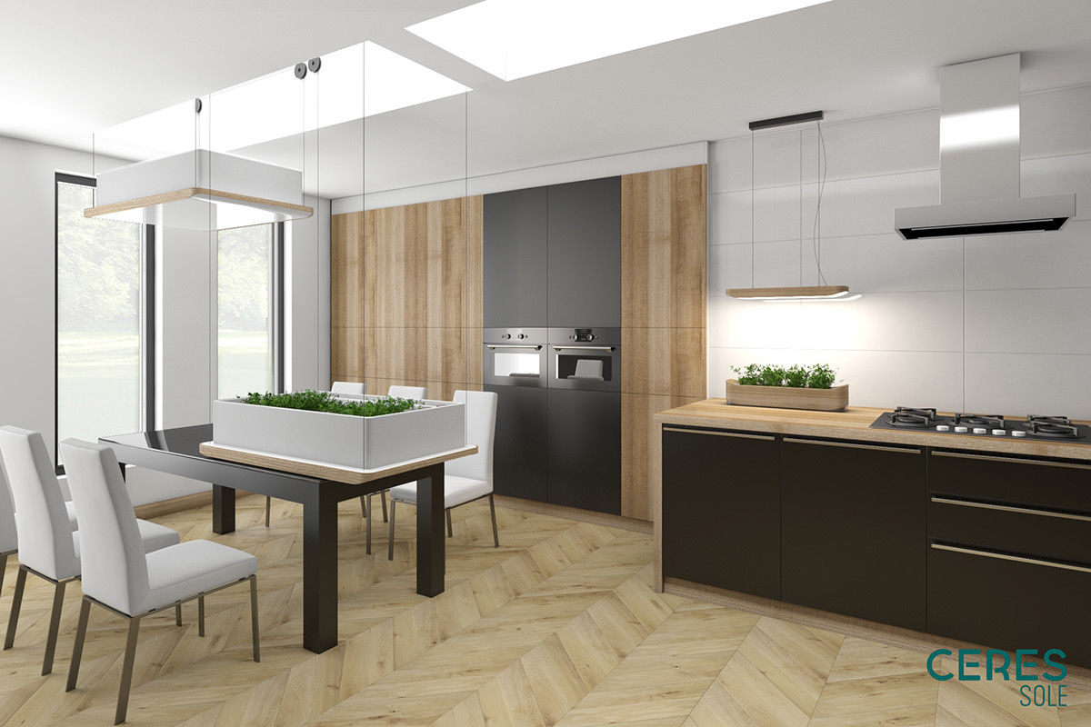 Botany，indoor，crops，green，