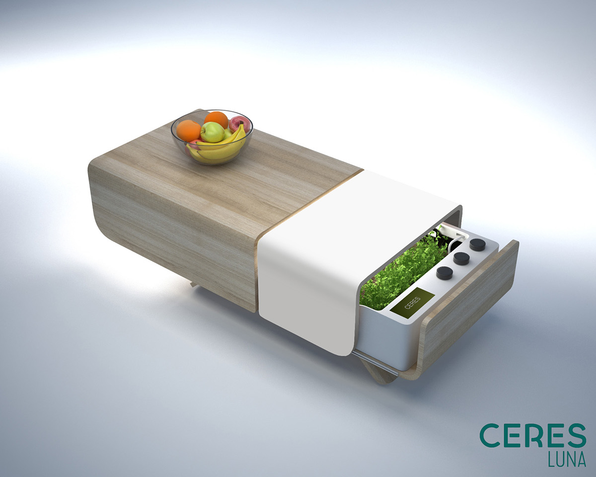 Botany，indoor，crops，green，