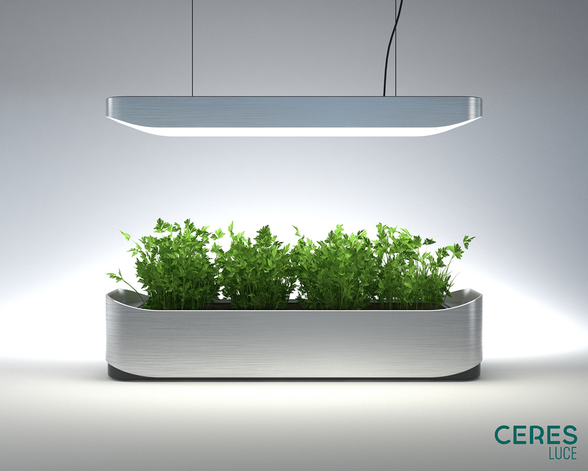 Botany，indoor，crops，green，