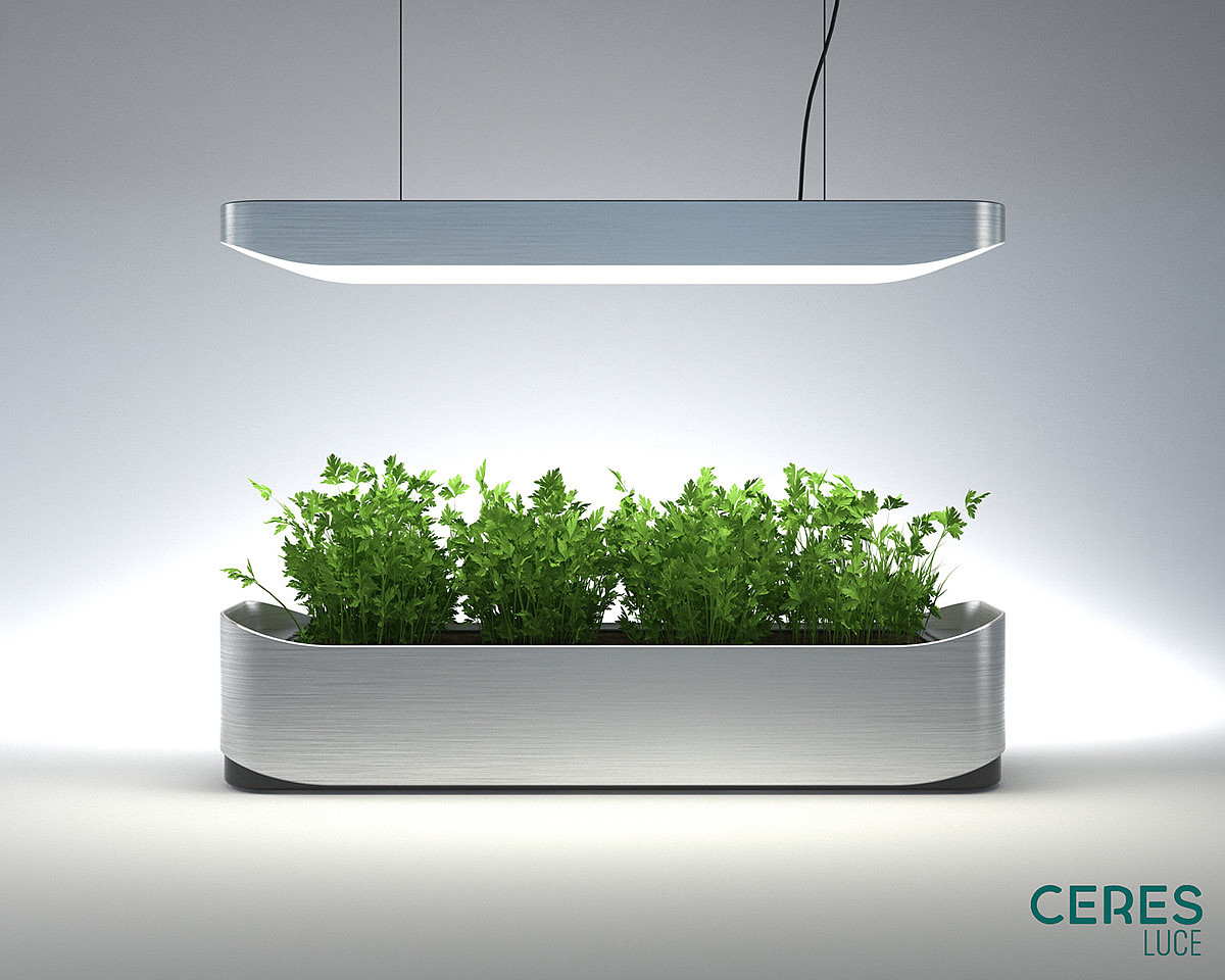Botany，indoor，crops，green，