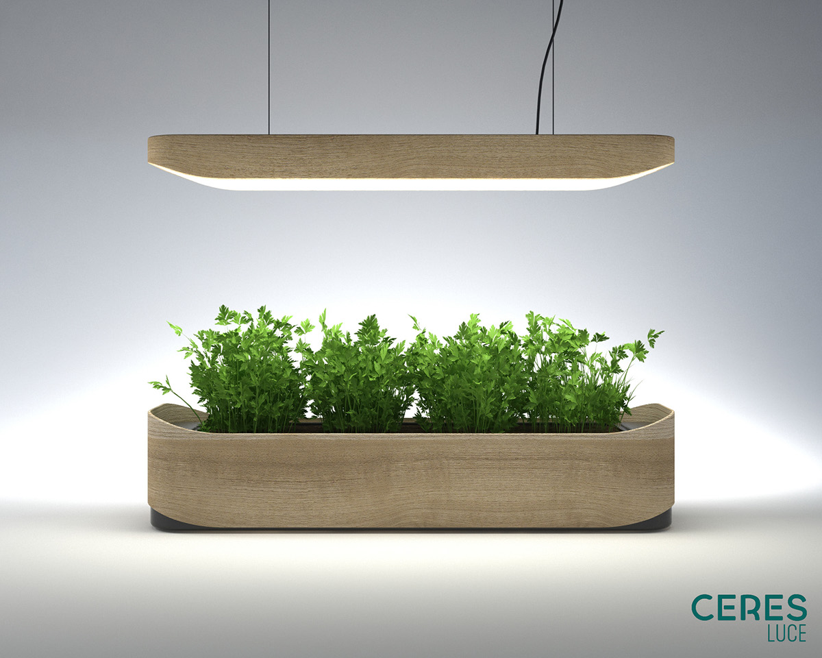 Botany，indoor，crops，green，