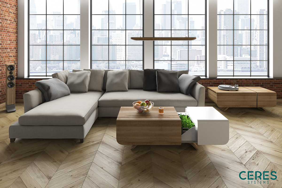 Botany，indoor，crops，green，