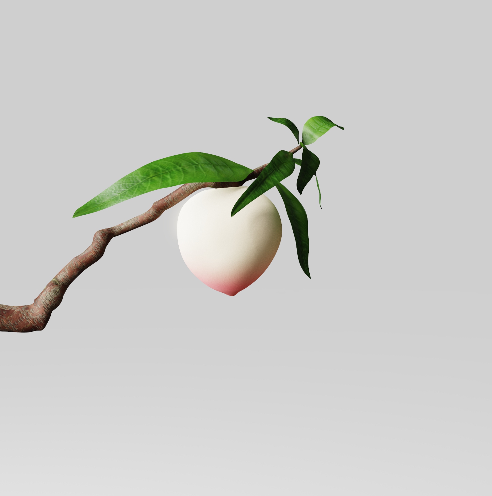 Keyshot animation，