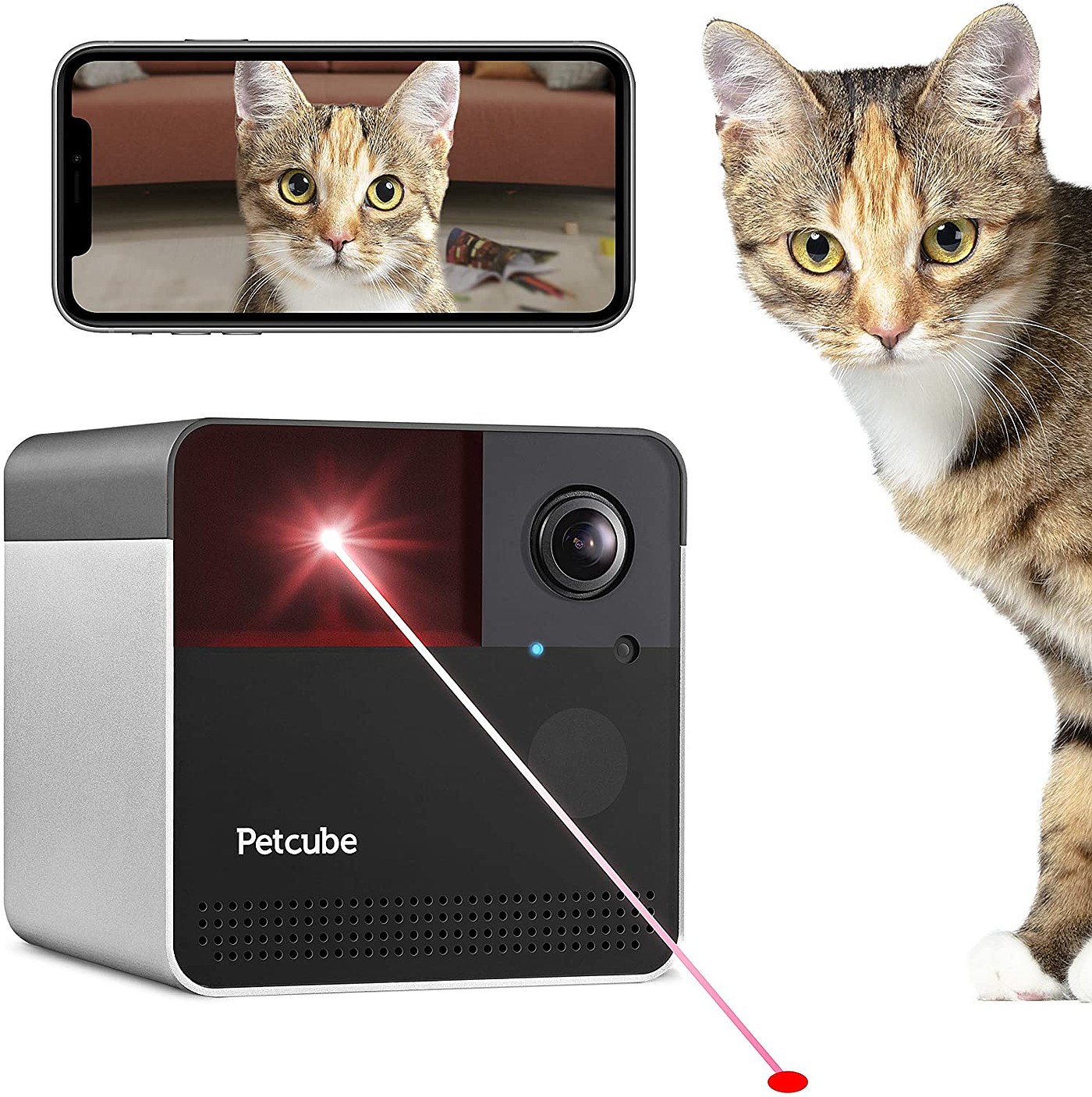 Petcube Play 2，PET camera，Electronics，2020 red dot product design award，