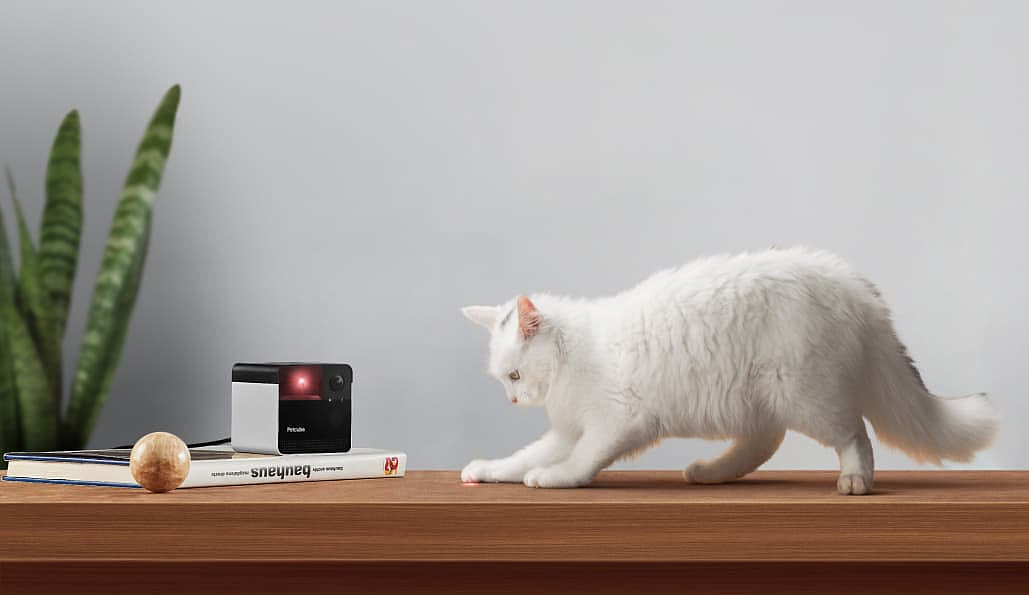 Petcube Play 2，PET camera，Electronics，2020 red dot product design award，