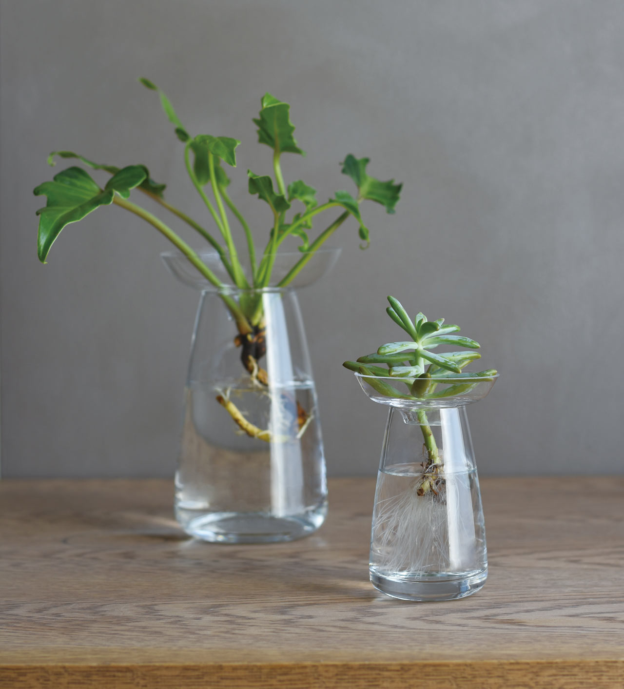 vase，modern，Glass，personality，