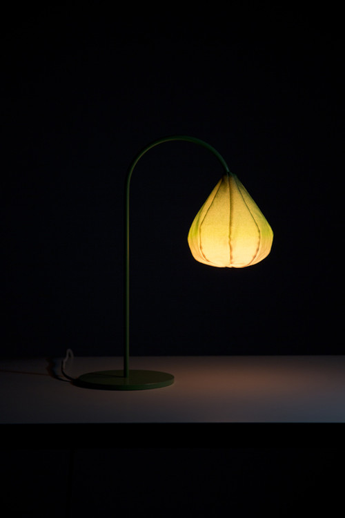 Desk lamp，