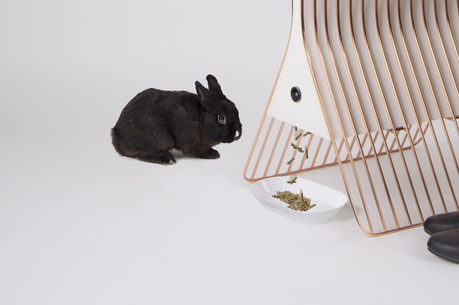 Creative design，Collection，industrial design，tableware，practical，