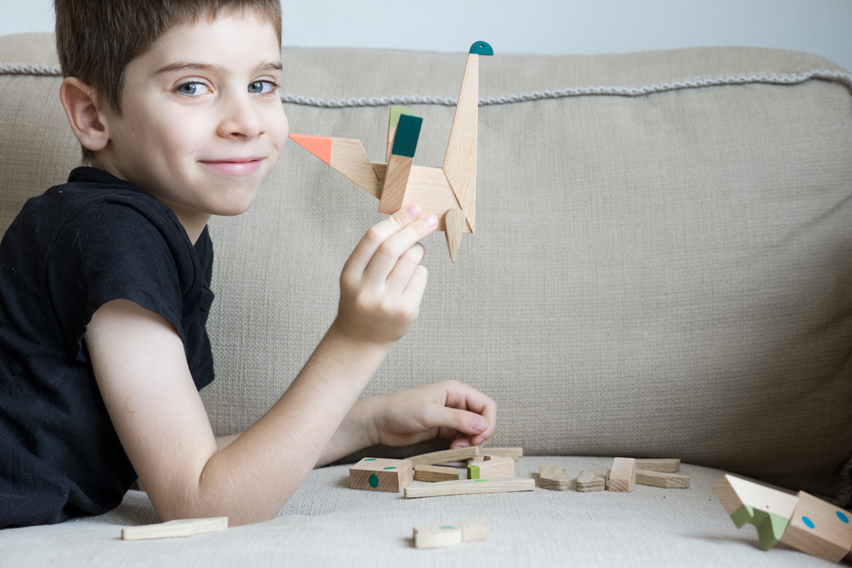 Toys，wooden ，dinosaur，education，