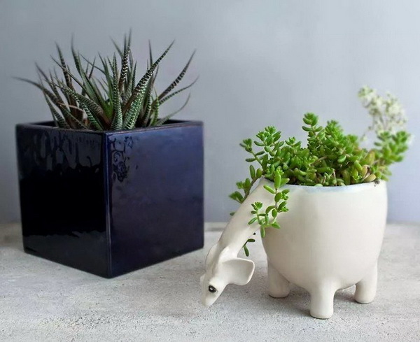 tableware，lovely，ceramics，animal，product design，