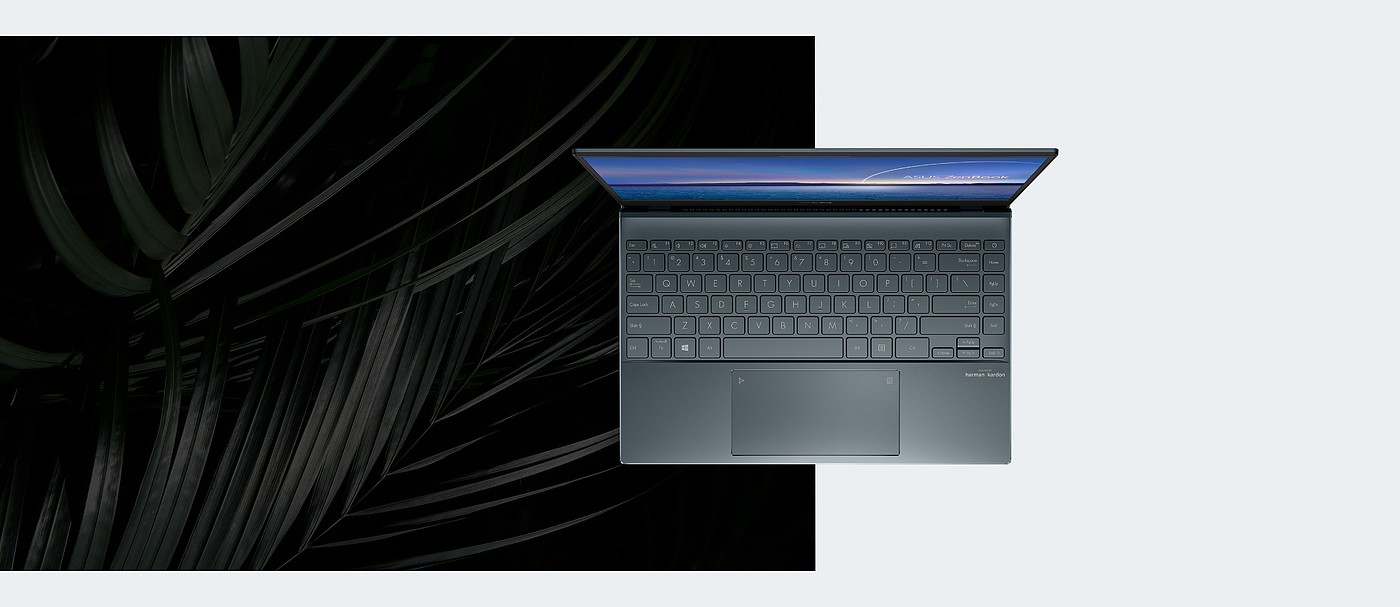 2020 red dot product design award，Pen electricity，ASUS，ASUS ZenBook，UX325 / UX425，
