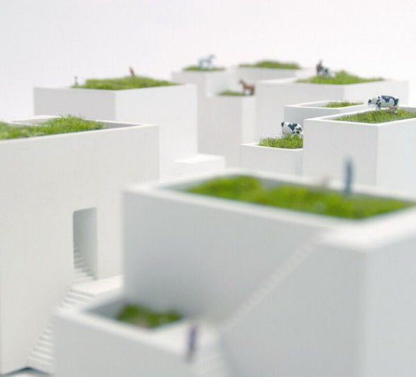 Home Furnishing，furniture design ，Flowerpot，green，beautiful，natural，product design，