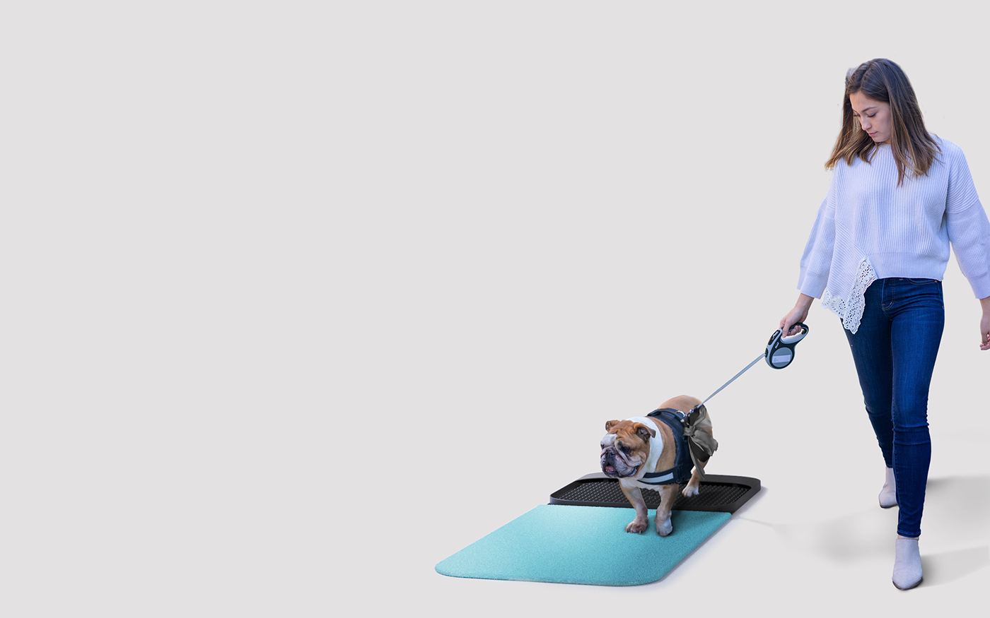 Pets，Claw disinfection pad，sanitizing mat，