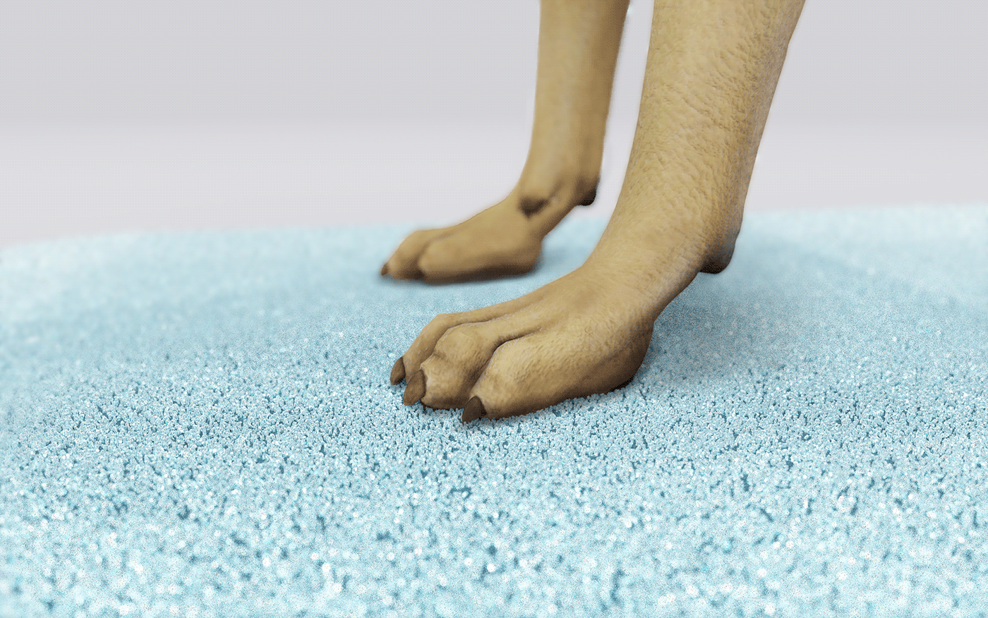 Pets，Claw disinfection pad，sanitizing mat，