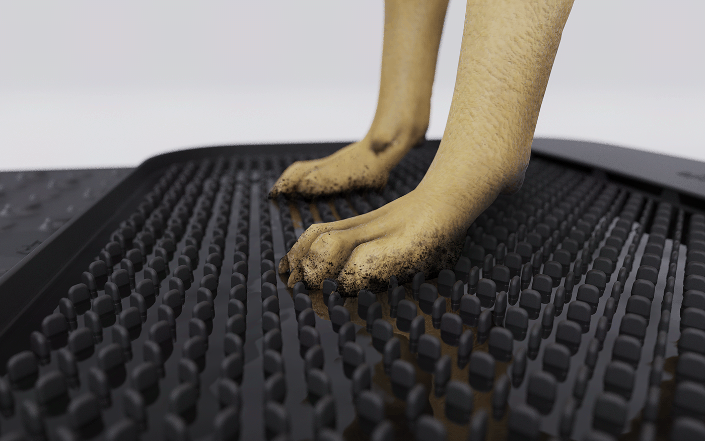 Pets，Claw disinfection pad，sanitizing mat，