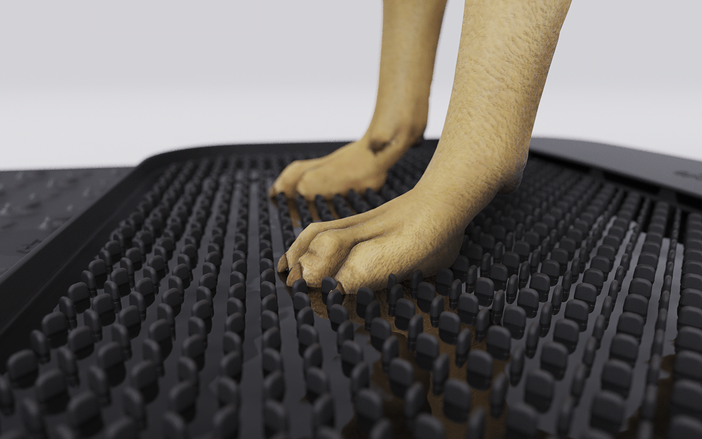 Pets，Claw disinfection pad，sanitizing mat，