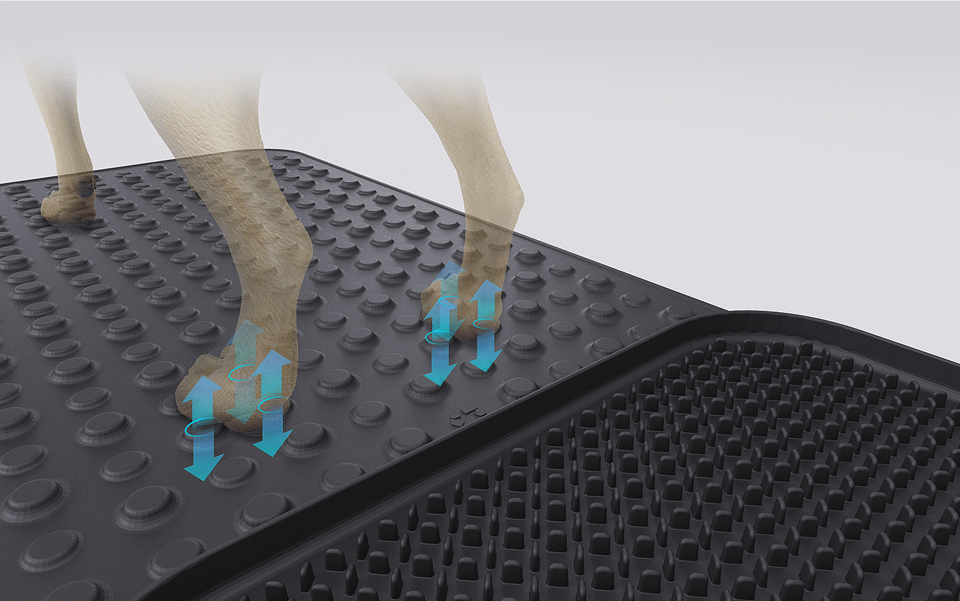 Pets，Claw disinfection pad，sanitizing mat，