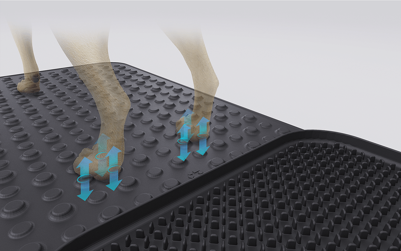 宠物，爪子消毒垫，sanitizing mat，