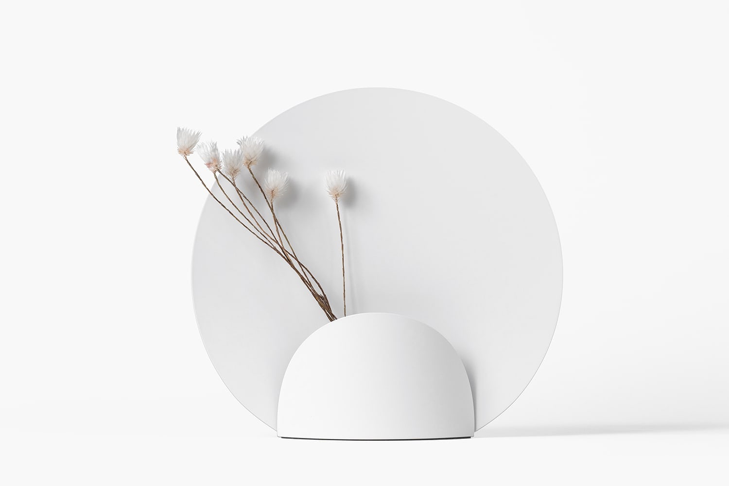 vase，Art，flower，white，