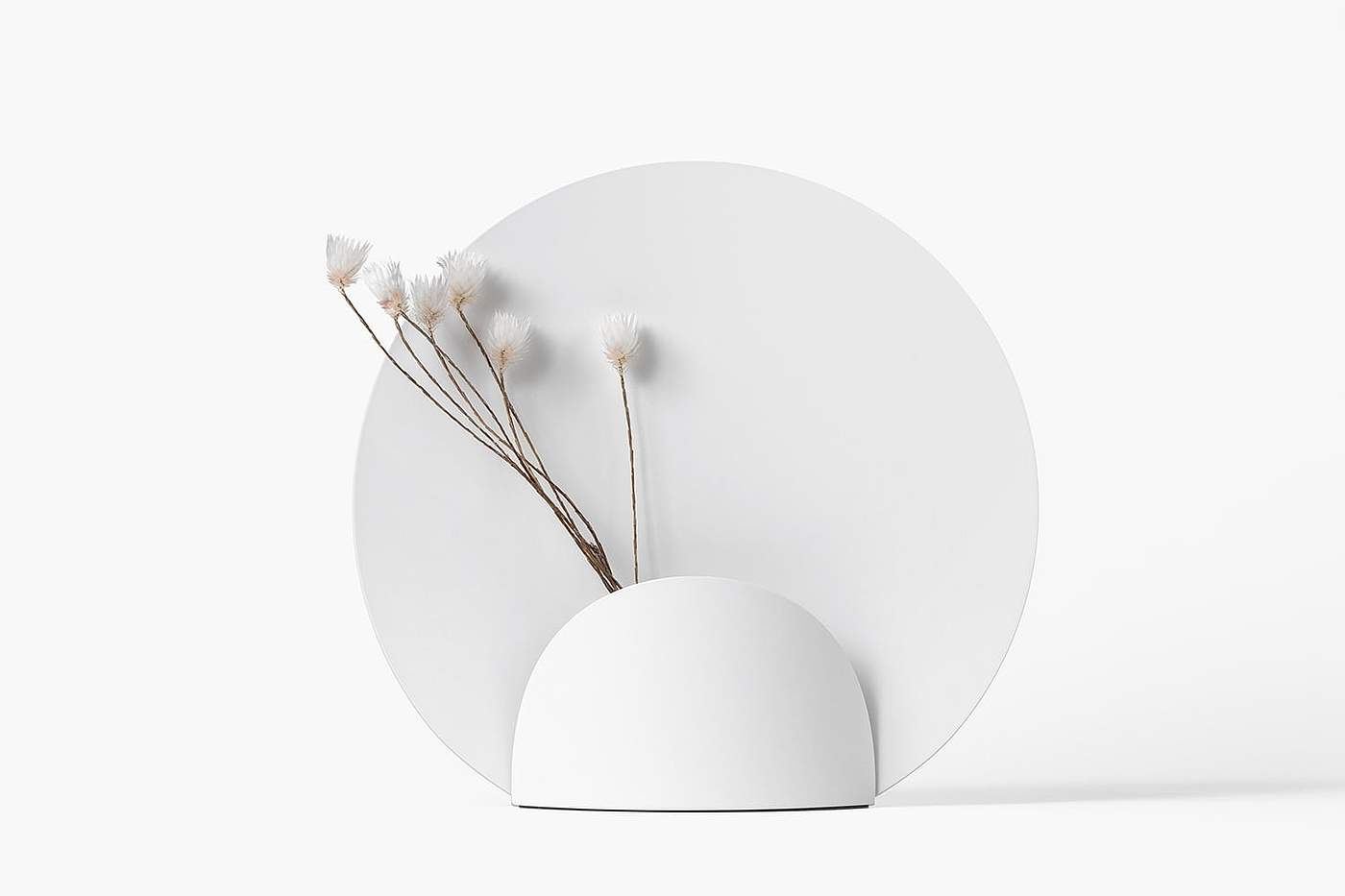 vase，Art，flower，white，