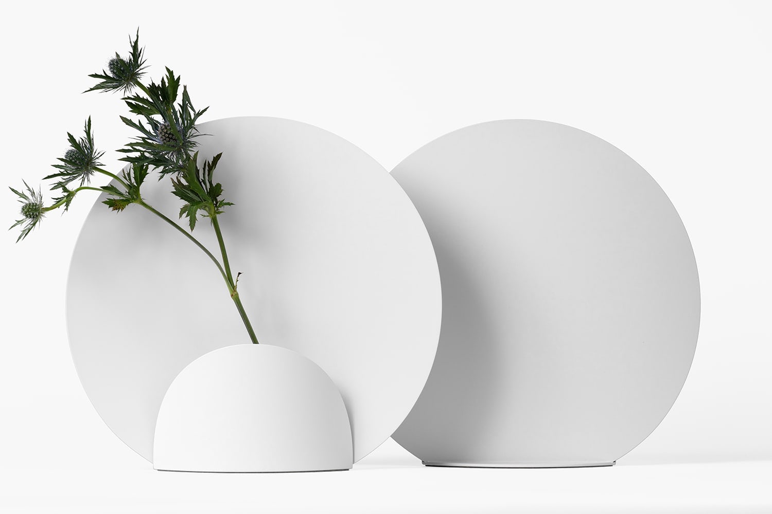 vase，Art，flower，white，