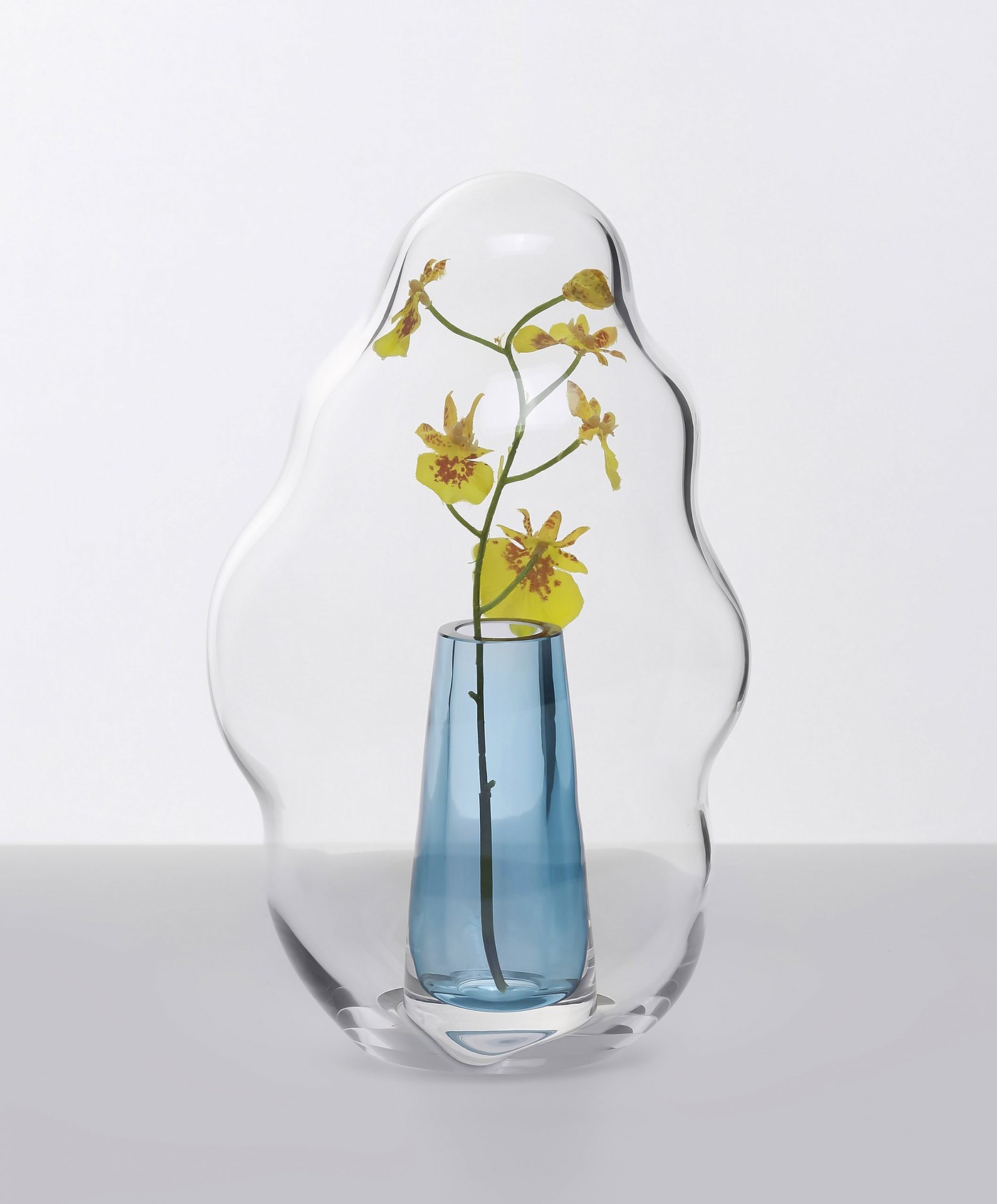 玻璃，器皿，花，互动，