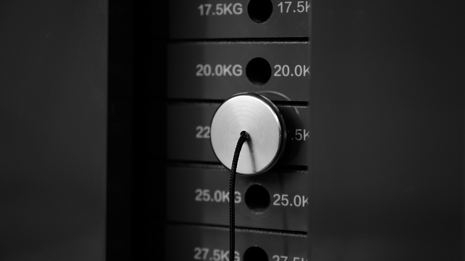 Piano，Designed，Cloud nest，Bodybuilding，China Construction Expo，Cross border innovation，