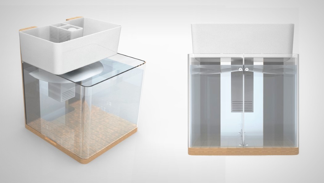 product design，industrial design，Botany，Small fish，comfortable，