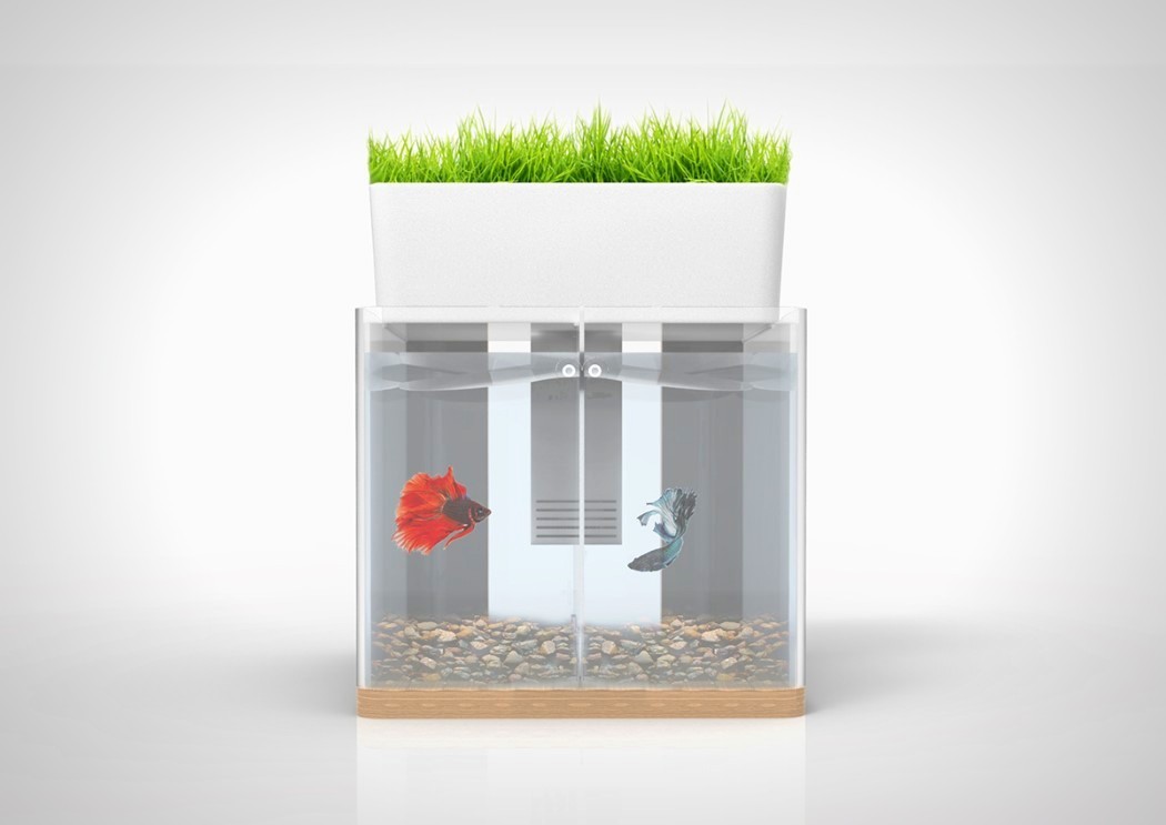 product design，industrial design，Botany，Small fish，comfortable，