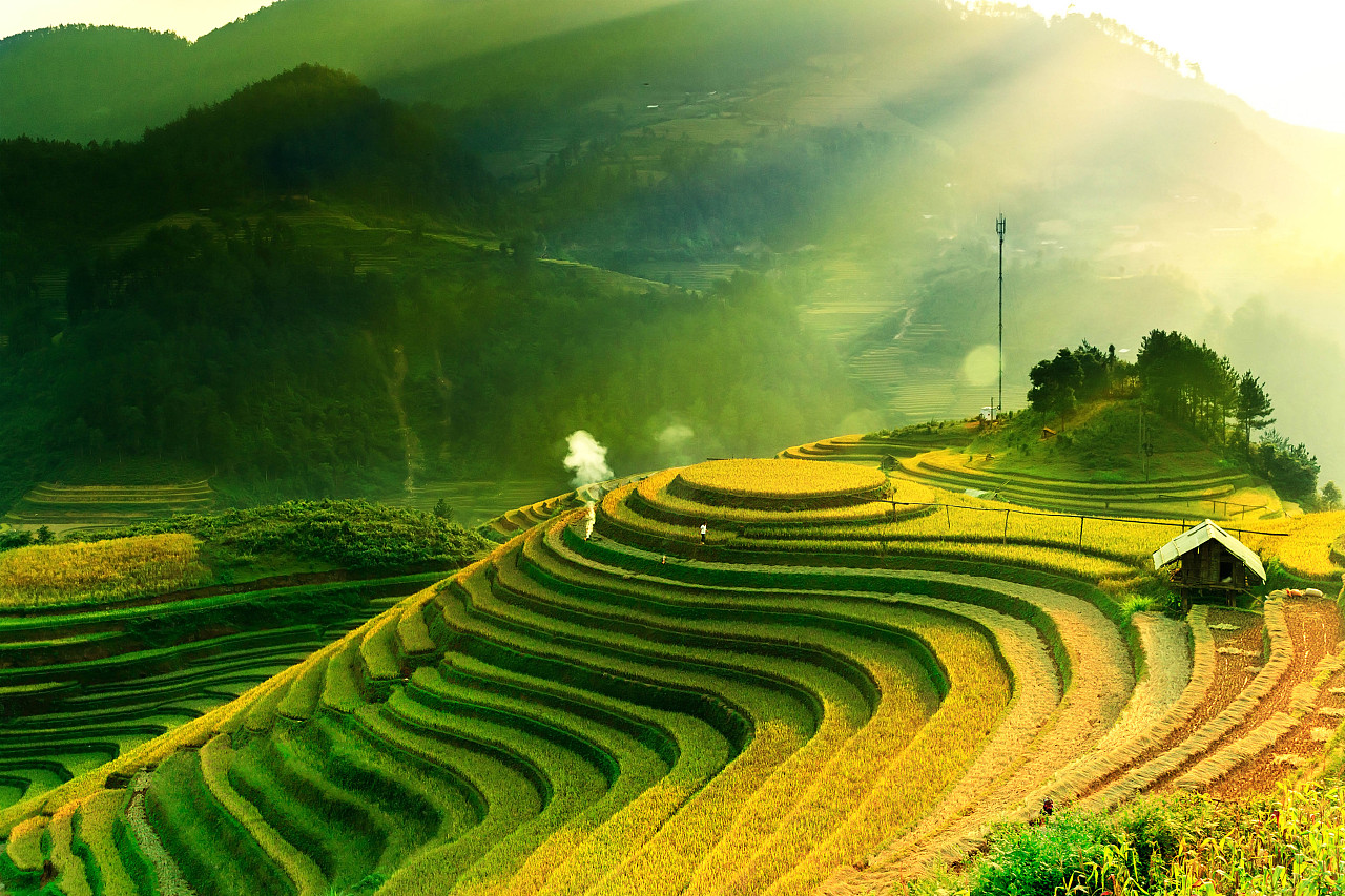 Black gold stone integrated molding，Zhe pin home，Wet tea tray，Original product design，