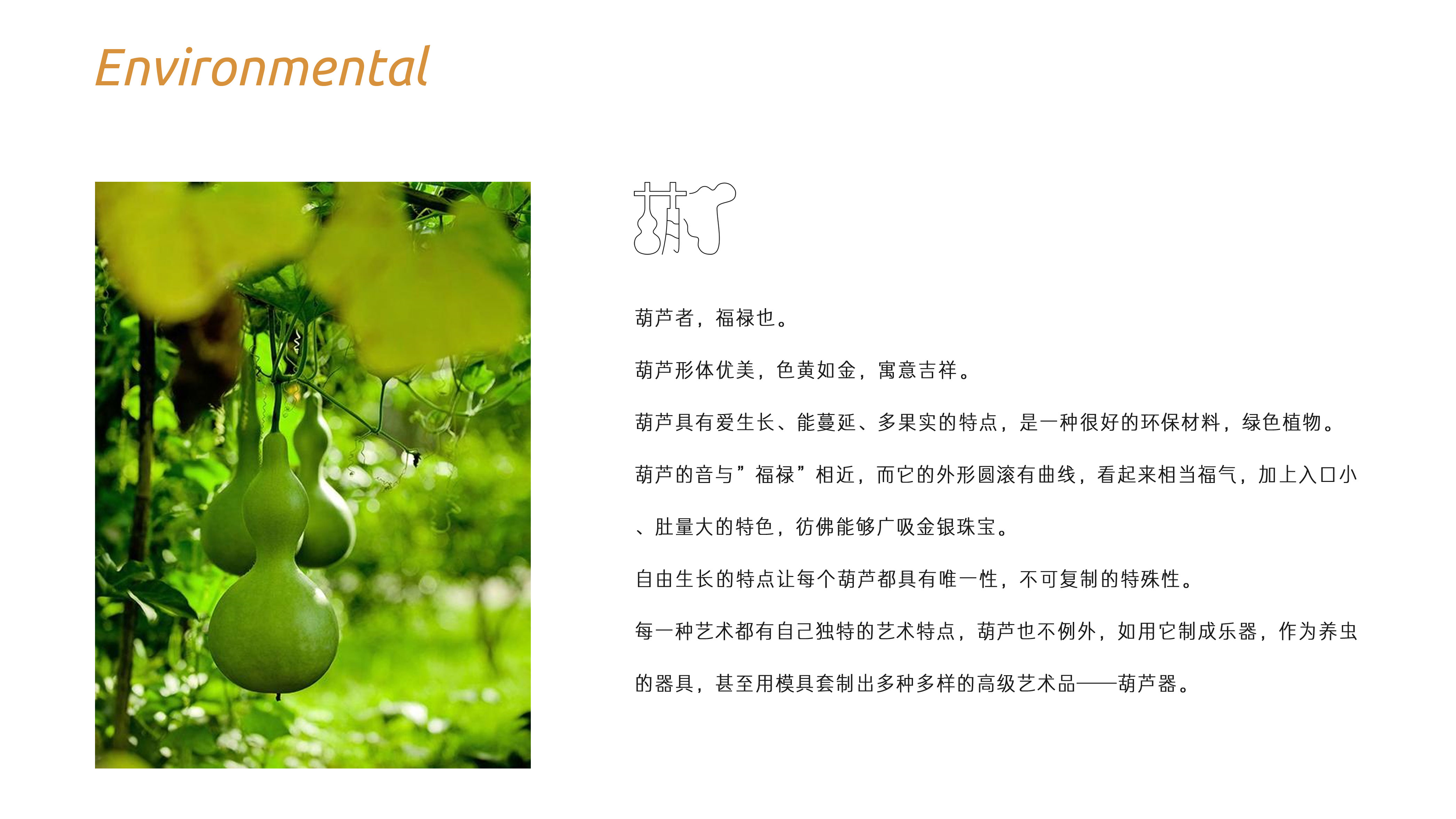 internship，sample reels，PROTFILIO，