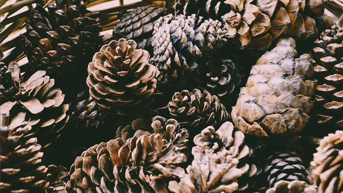 Humidifier，natural，indoor，white，