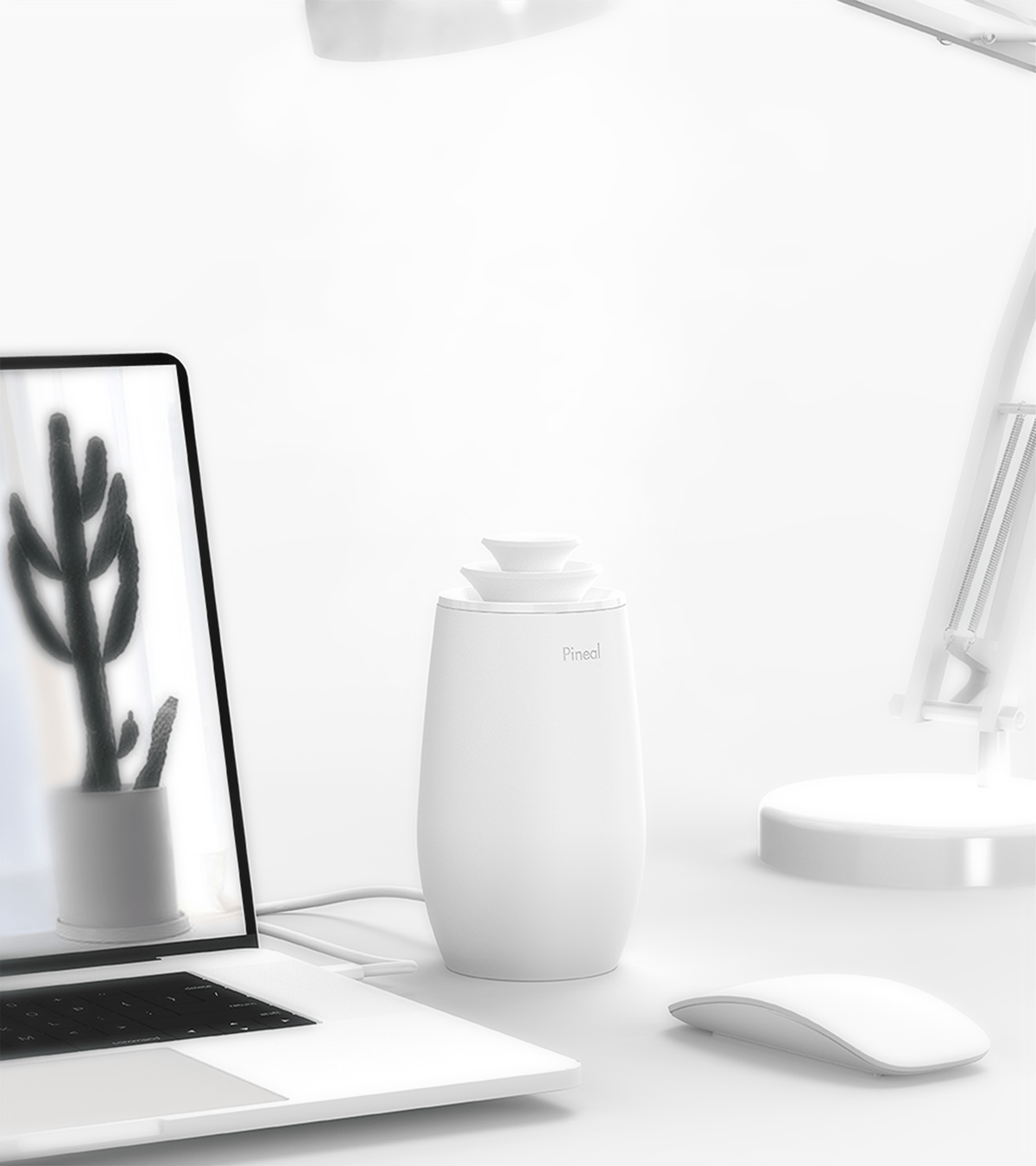 Humidifier，natural，indoor，white，