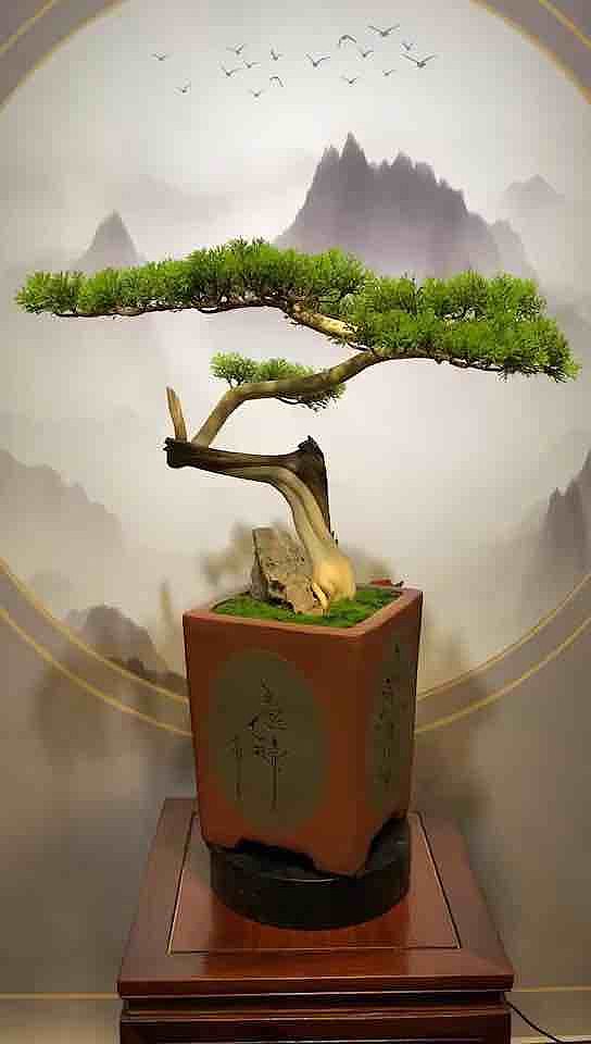 bonsai，Ornaments，Jing pendulum，